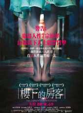 横店炮王霍建华什么梗